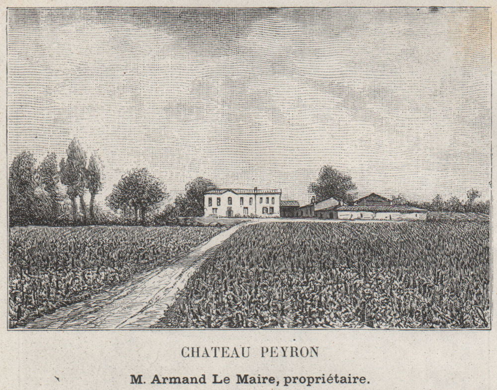 GRANDS VINS BLANCS. FARGUES. Chateau Peyron. Maire. Bordeaux. SMALL 1908 print